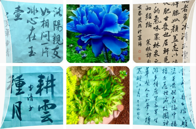 书法摄影作品.jpg